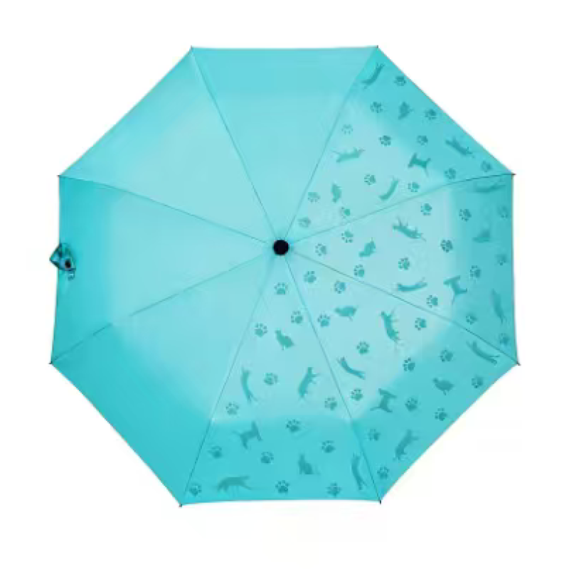 Color Changing Umbrella